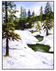 Winter Stream